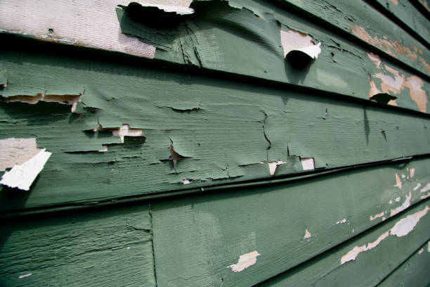 Professional Junk Removal in Jonesboro, LA